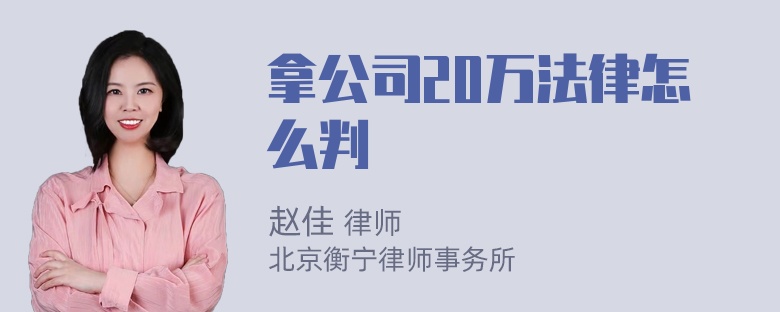 拿公司20万法律怎么判