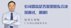 公司借款是否需要股东会决议通过，谢谢！