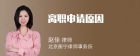 离职申请原因