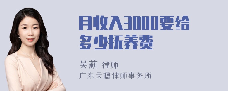 月收入3000要给多少抚养费