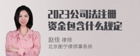 2023公司法注册资金包含什么规定