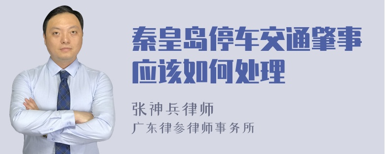 秦皇岛停车交通肇事应该如何处理