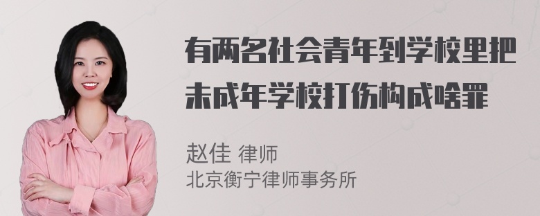 有两名社会青年到学校里把未成年学校打伤构成啥罪