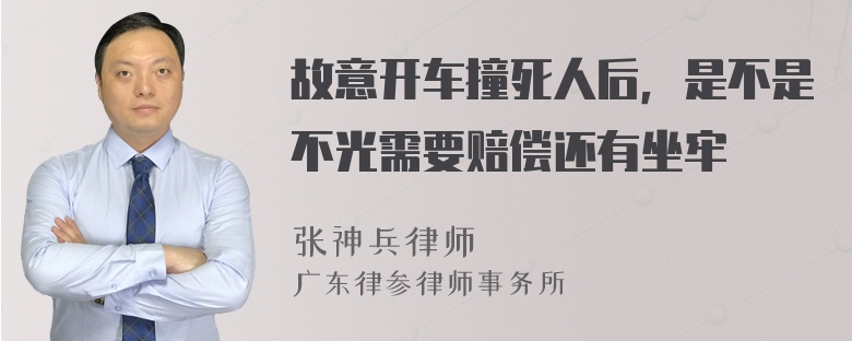 故意开车撞死人后，是不是不光需要赔偿还有坐牢