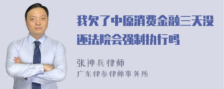 我欠了中原消费金融三天没还法院会强制执行吗