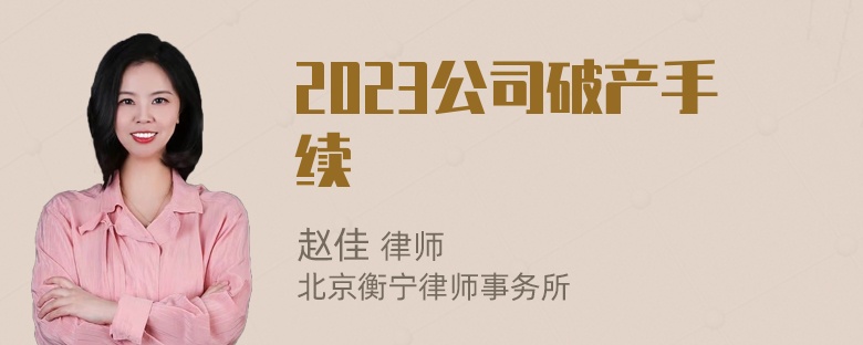 2023公司破产手续