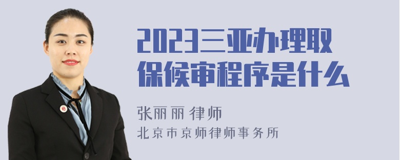 2023三亚办理取保候审程序是什么