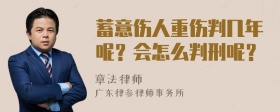 蓄意伤人重伤判几年呢？会怎么判刑呢？