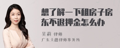 想了解一下租房子房东不退押金怎么办