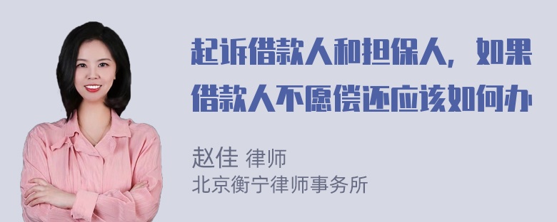 起诉借款人和担保人，如果借款人不愿偿还应该如何办