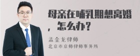 母亲在哺乳期想离婚，怎么办？