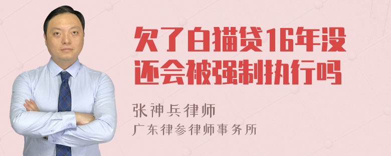 欠了白猫贷16年没还会被强制执行吗