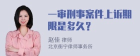 一审刑事案件上诉期限是多久？