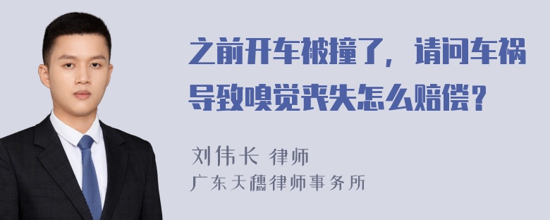 之前开车被撞了，请问车祸导致嗅觉丧失怎么赔偿？