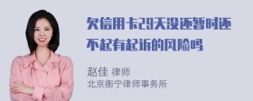 欠信用卡29天没还暂时还不起有起诉的风险吗