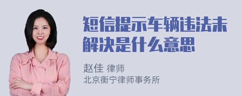 短信提示车辆违法未解决是什么意思