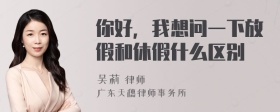 你好，我想问一下放假和休假什么区别