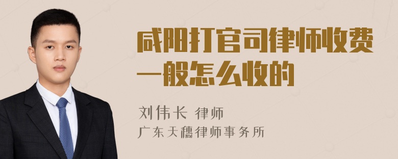 咸阳打官司律师收费一般怎么收的