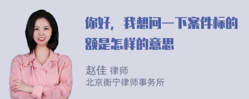 你好，我想问一下案件标的额是怎样的意思