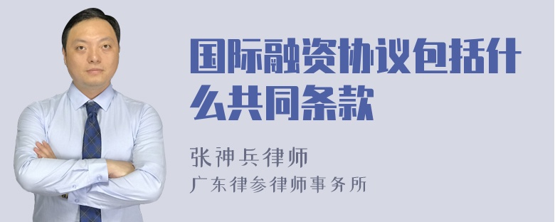 国际融资协议包括什么共同条款