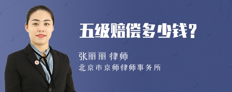 五级赔偿多少钱？