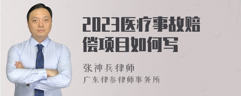 2023医疗事故赔偿项目如何写