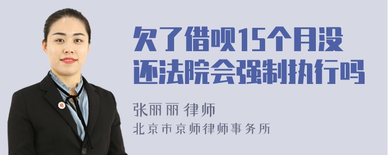 欠了借呗15个月没还法院会强制执行吗