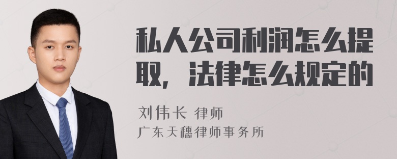 私人公司利润怎么提取，法律怎么规定的