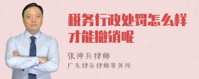 税务行政处罚怎么样才能撤销呢