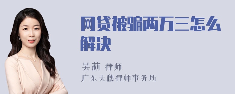 网贷被骗两万三怎么解决