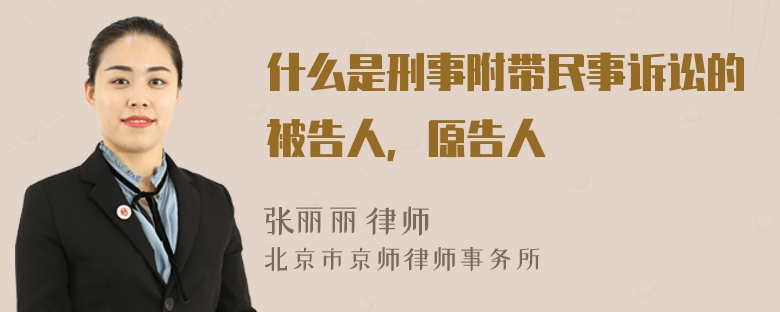 什么是刑事附带民事诉讼的被告人，原告人