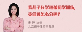 我儿子在学校被同学抓伤，责任该怎么分担？