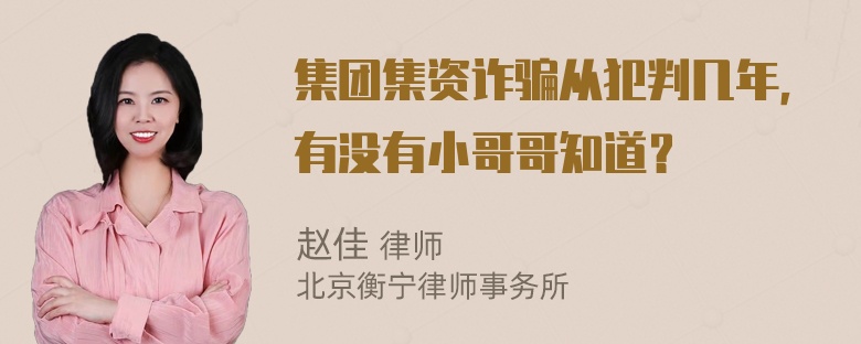 集团集资诈骗从犯判几年，有没有小哥哥知道？