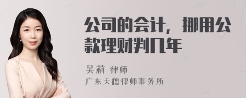 公司的会计，挪用公款理财判几年