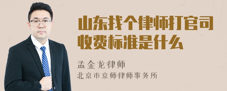 山东找个律师打官司收费标准是什么