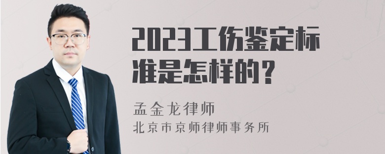 2023工伤鉴定标准是怎样的？