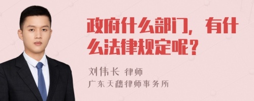 政府什么部门，有什么法律规定呢？