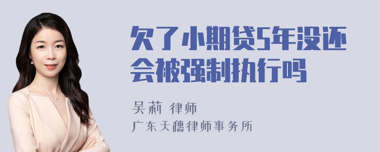 欠了小期贷5年没还会被强制执行吗