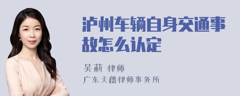 泸州车辆自身交通事故怎么认定