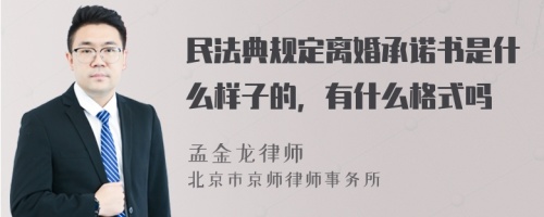 民法典规定离婚承诺书是什么样子的，有什么格式吗