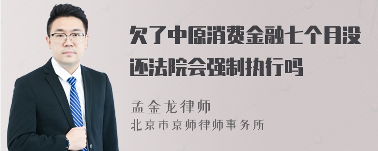 欠了中原消费金融七个月没还法院会强制执行吗