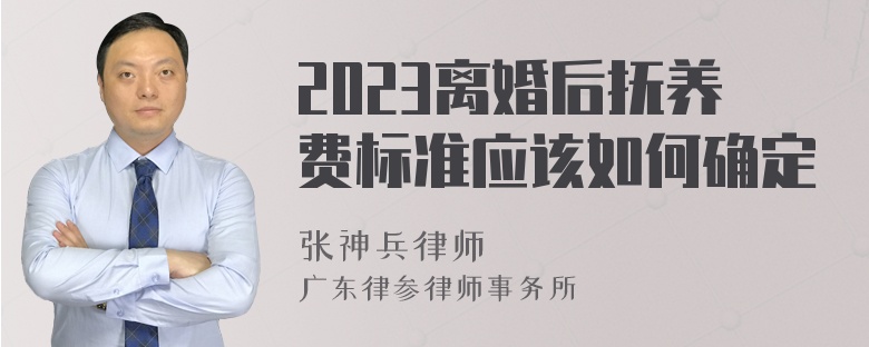 2023离婚后抚养费标准应该如何确定