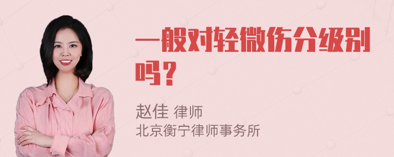 一般对轻微伤分级别吗？