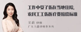 工作中受了伤在当地住院，农民工工伤医疗费赔偿标准