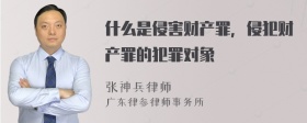 什么是侵害财产罪，侵犯财产罪的犯罪对象