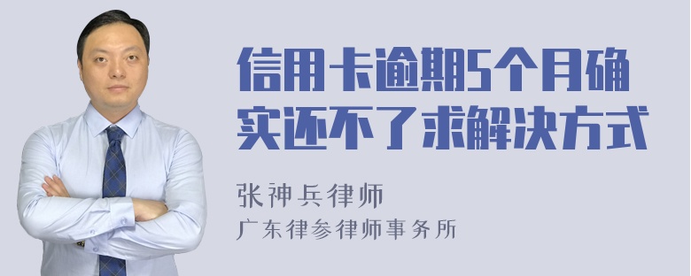 信用卡逾期5个月确实还不了求解决方式