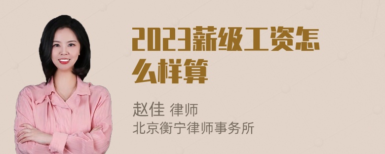 2023薪级工资怎么样算