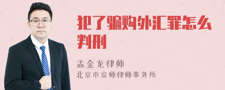 犯了骗购外汇罪怎么判刑