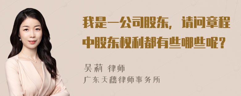 我是一公司股东，请问章程中股东权利都有些哪些呢？