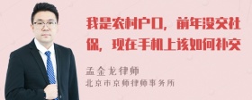 我是农村户口，前年没交社保，现在手机上该如何补交